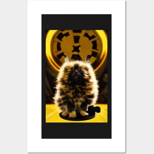 Admiral Yellow Cat Posters and Art